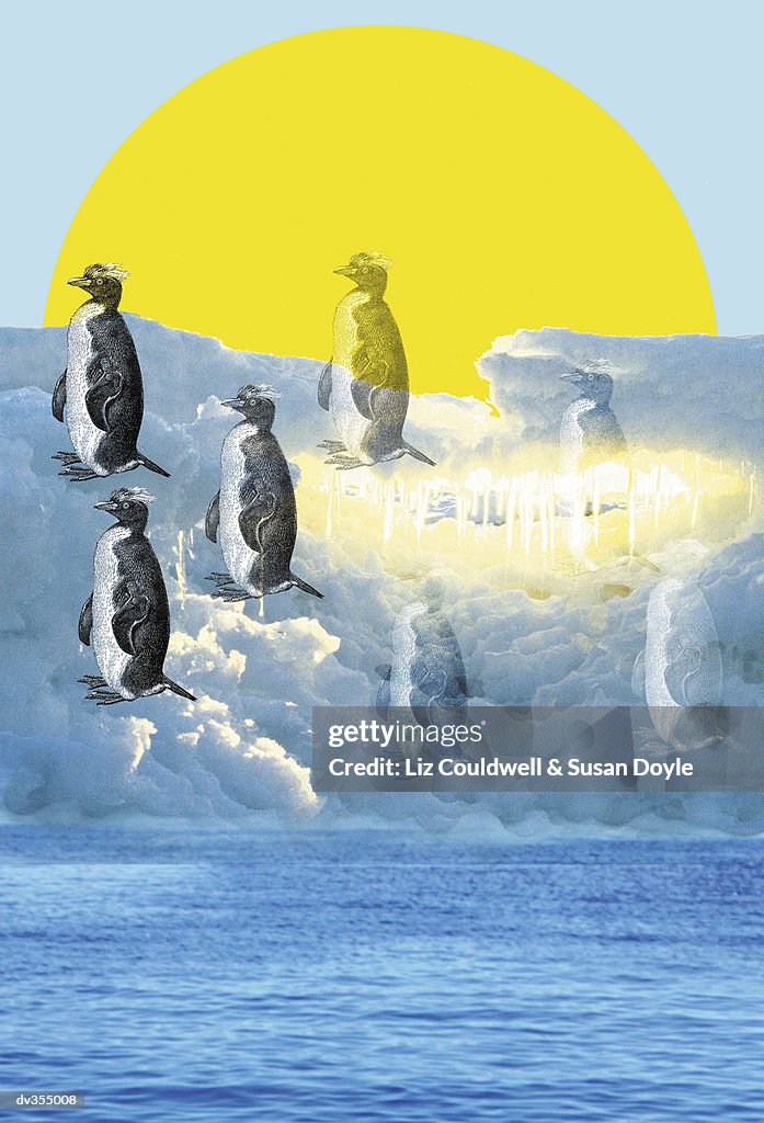 Penguins floating above clouds over sun and water