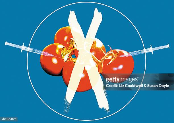 x over hypodermic needles injecting tomatoes - spanish royals attend 25th anniversary of national center of food safety and technology stockfoto's en -beelden