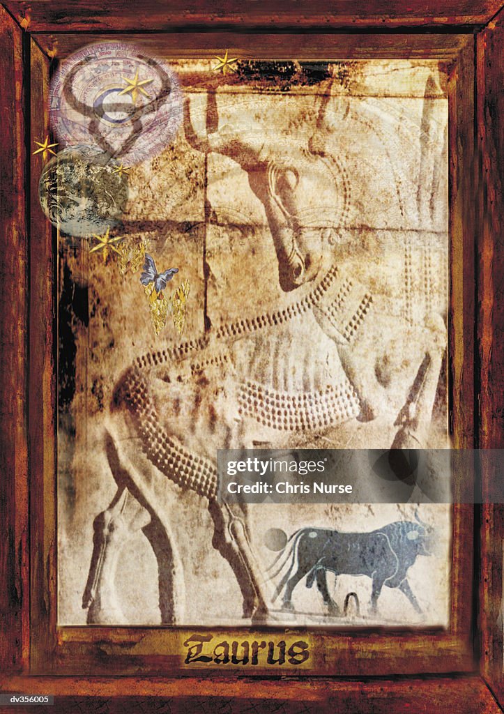 Tarius Taurus The Bull Zodiac Sign High-Res Vector Graphic - Getty Images
