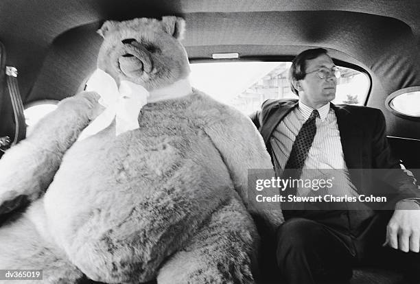 businessman sitting with giant stuffed bear in back of car - stewart stock pictures, royalty-free photos & images