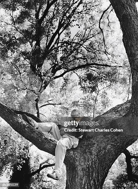 older man sitting in tree - stewart stock pictures, royalty-free photos & images