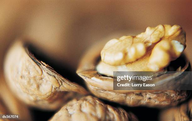 Open Nut Shell Nutshell Open Photos and Premium High Res Pictures - Getty Images