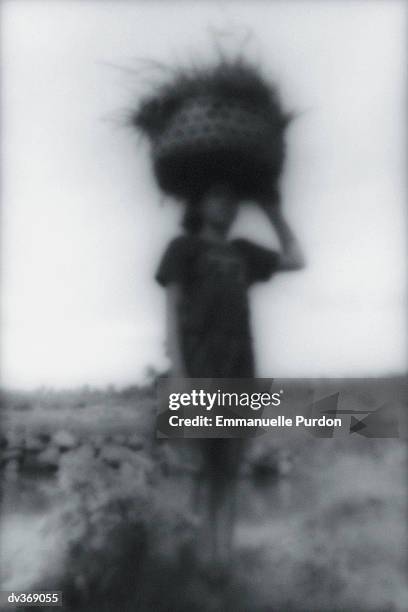 woman carrying basket on head - sunda isles bildbanksfoton och bilder