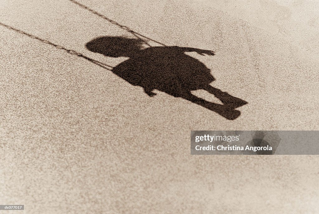 Shadow of a young child on swing