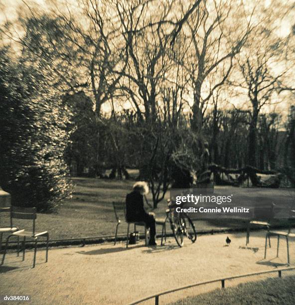 woman sitting in park - connie stock pictures, royalty-free photos & images