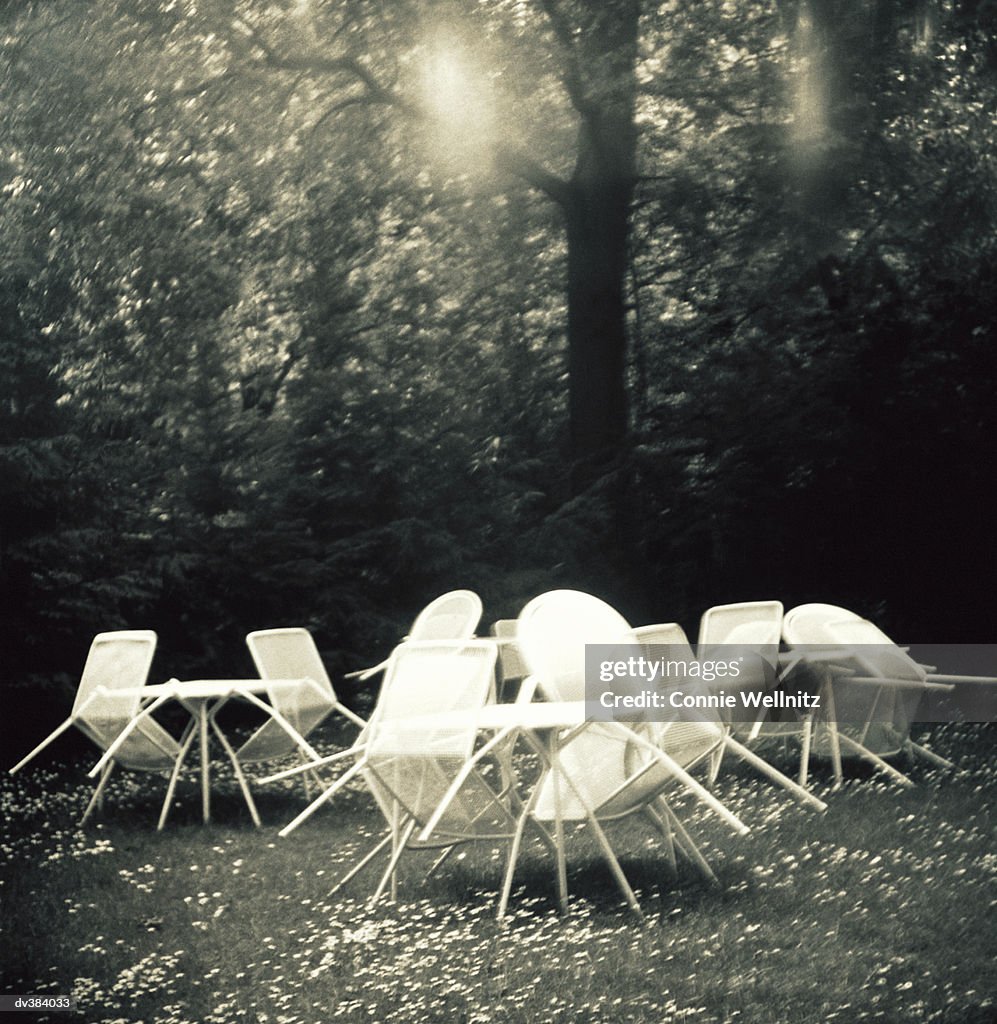 Patio furniture on grass