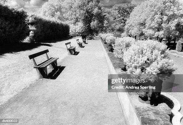 row of park benches and trees - stockholm county stock pictures, royalty-free photos & images