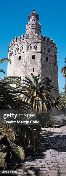 torre del oro amongst palm trees, seville, spain - oro imagens e fotografias de stock