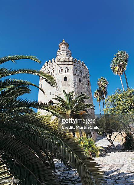 torre del oro, seville, spain - oro imagens e fotografias de stock
