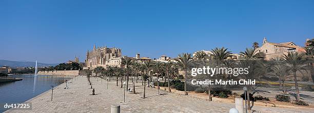 parc de la mar, palma cathedral, palau de l'almudaina, palma, mallorca - parc national bildbanksfoton och bilder