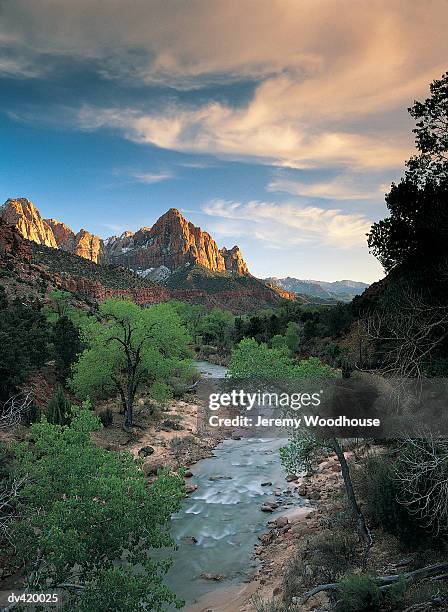 the virgin river, zion national park, utah, usa - virgin river stock pictures, royalty-free photos & images