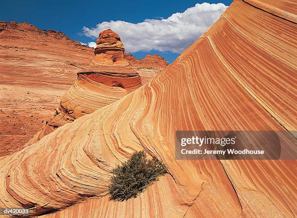 sandstone formations, colorado plateau, arizona, usa - colorado plateau stock pictures, royalty-free photos & images