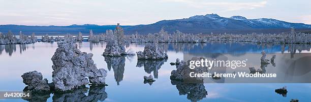 tufa towers, mono lake, california, usa - reserva animal estatal imagens e fotografias de stock
