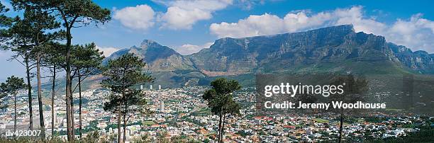 table mountain, cape town, south africa, africa - kapprovinz stock-fotos und bilder