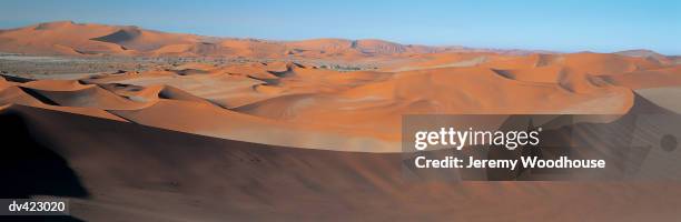 namib desert, namibia, africa - namib foto e immagini stock