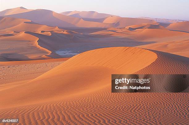 barchan dune, sossusvlei, namib desert, namibia, africa - namib foto e immagini stock