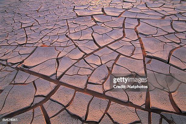 sossusvlei, namib desert, namibia, africa - namib foto e immagini stock