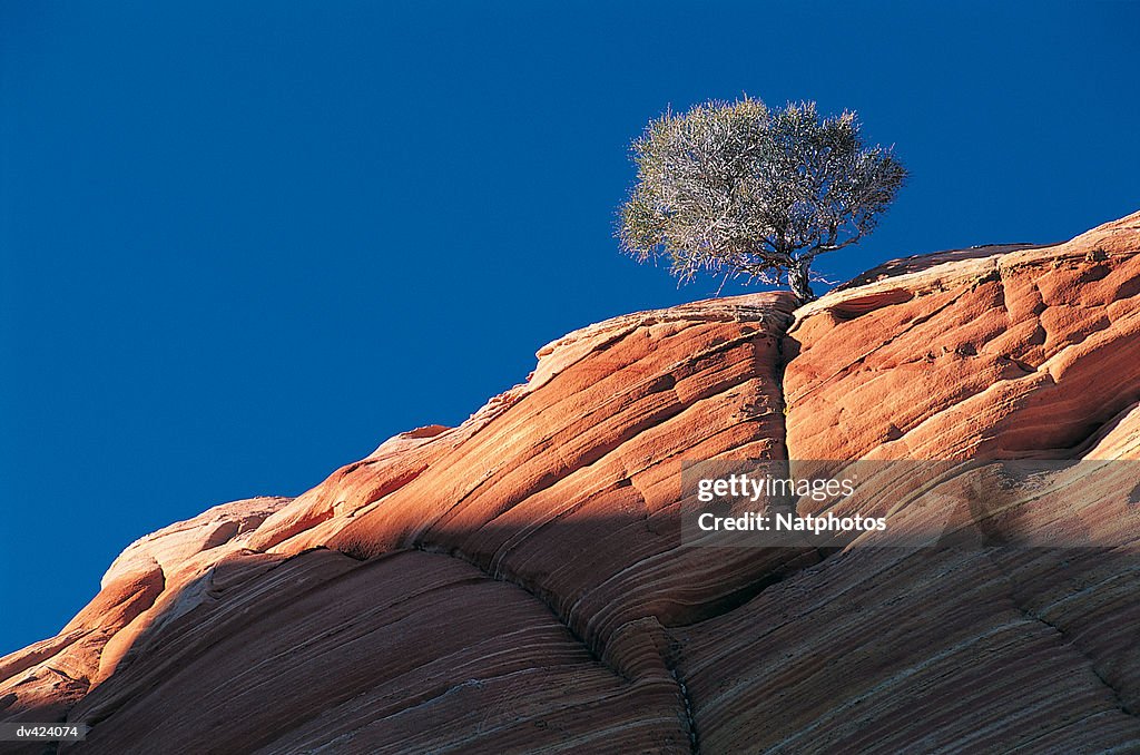Coyote Buttes, Paria Wilderness, Utah, USA