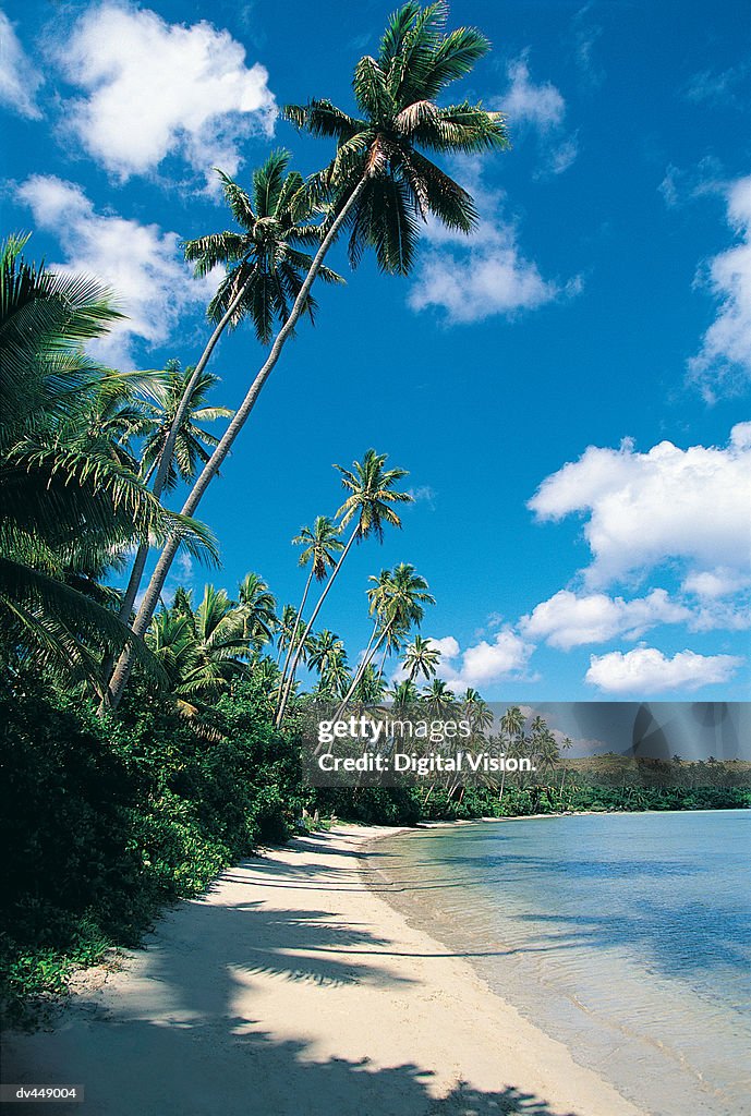 Kadavu Island, Fiji