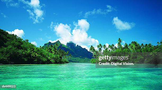 bora bora, french polynesia - bora bora foto e immagini stock