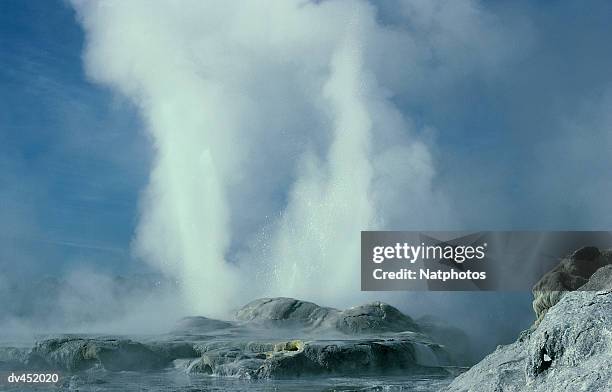 new zealand,rotorua,whakarewarewa, pohutu and prince of wales geysers - géiser pohutu imagens e fotografias de stock