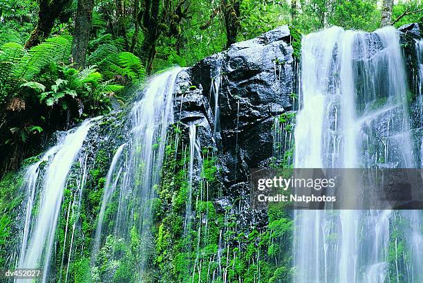 beauchamp falls, great ocean road, otway ranges, victoria, australia - falls road stock pictures, royalty-free photos & images