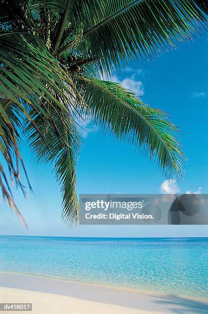fihalhohi south male atoll, maldives - fihalhohi stock-fotos und bilder