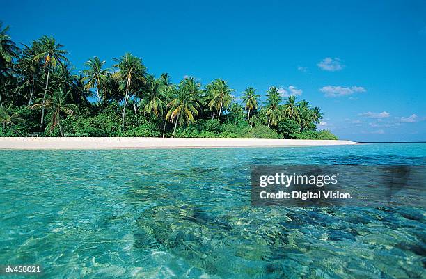 maldive island - land in sicht stock-fotos und bilder