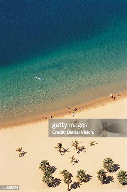 isole canarie, canary islands - atlantic islands stock-fotos und bilder