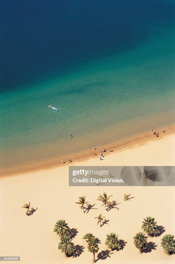 Isole Canarie, Canary Islands