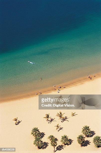 isole canarie, canary islands - atlantic islands stock pictures, royalty-free photos & images