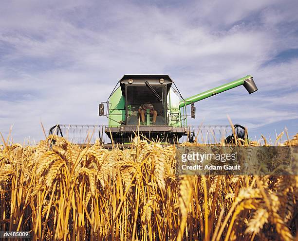combine harvester - combine foto e immagini stock