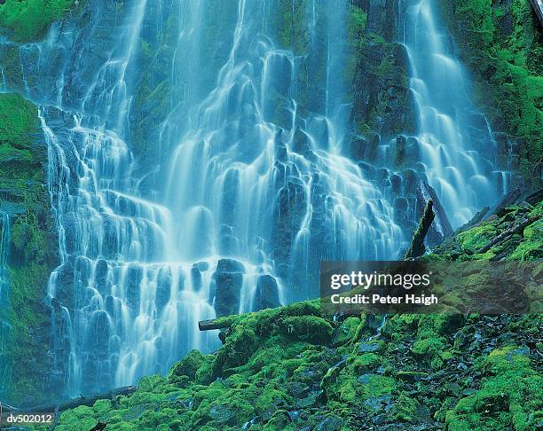 lower proxy falls, three sisters wilderness, or - three sisters stock pictures, royalty-free photos & images