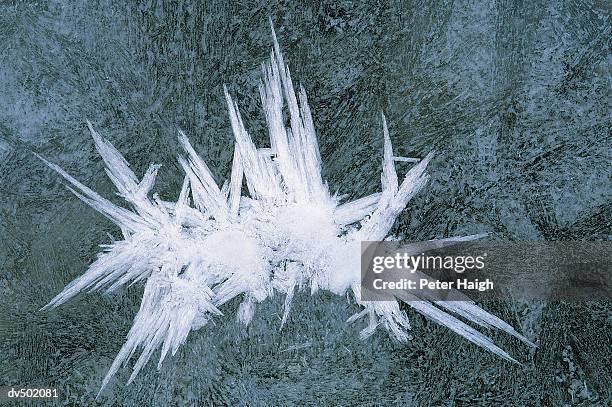frost crystal, rock bridge state park, mo - eisblume stock-fotos und bilder
