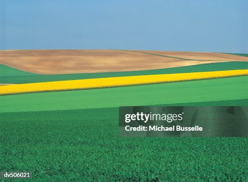 Patchwork Landscape Patchwork Landscape