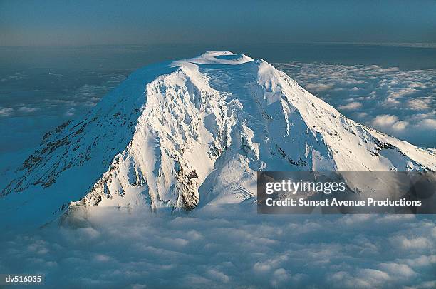 mount adams, cascade mountain range, washington, usa - cascade range imagens e fotografias de stock