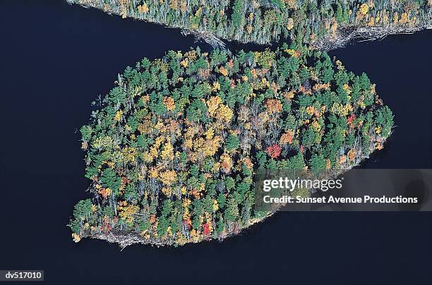 island in lake, wisconsin, usa, - sawyer_county,_wisconsin stock pictures, royalty-free photos & images