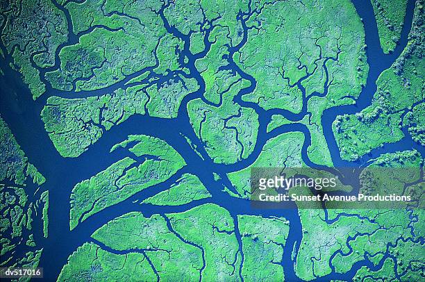 river delta patterns, columbia river, western washington and western oregon, usa - río fotografías e imágenes de stock