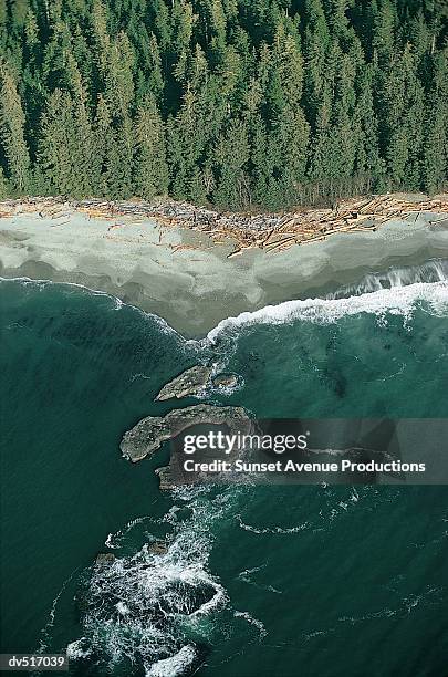 strait of juan de fuca, vancouver island, british columbia, canada - british columbia 個照片及圖片檔