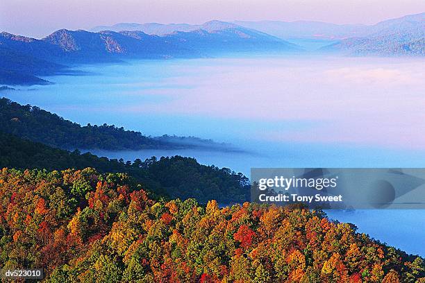 cumberland gap, kentucky, usa - v kentucky stock pictures, royalty-free photos & images