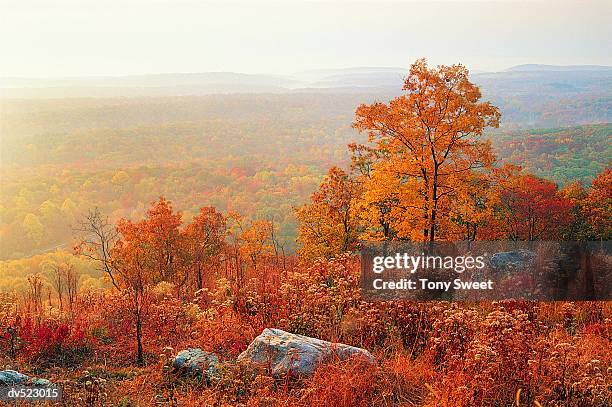 delaware water gap, national recreation area, pennsylvania, usa - delaware water gap stock pictures, royalty-free photos & images