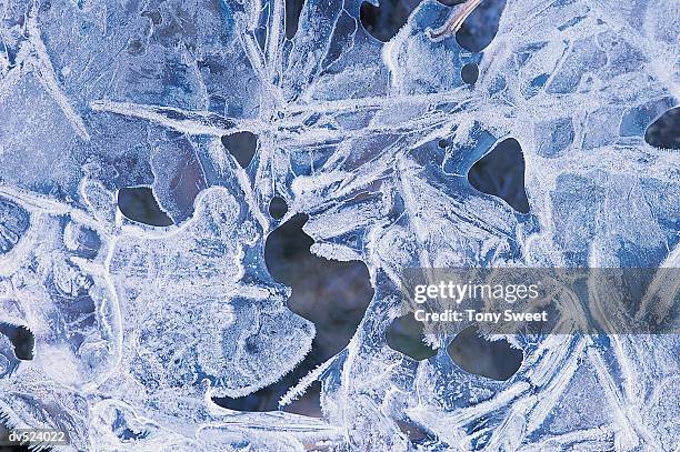 close-up of ice crystal - eisblume stock-fotos und bilder