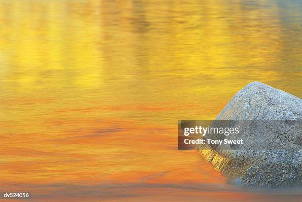 watercolours and rocks, white mountains, new hampshire, usa - new hampshire 個照片及圖片檔