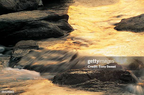 river rocks, harpers ferry national historical park, usa - tony stock pictures, royalty-free photos & images