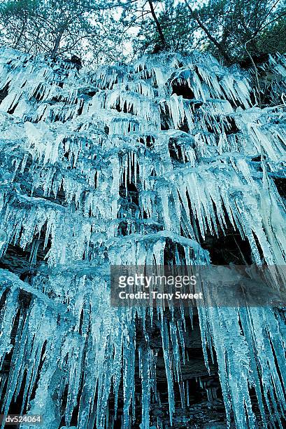 ice wall, nantachalla states forest, north carolina, usa - tony stock pictures, royalty-free photos & images