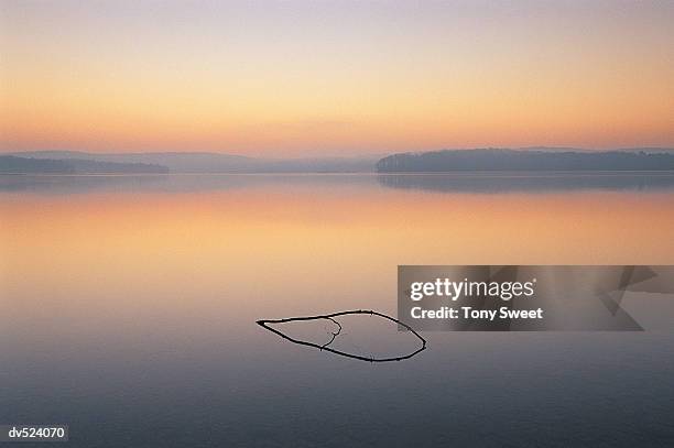 stick on lake, loch raven, maryland, usa - loch raven stock pictures, royalty-free photos & images