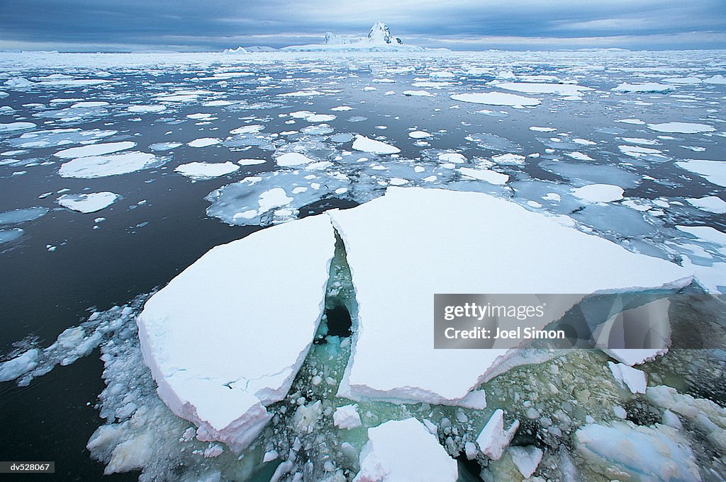 Close-up of floating ice
