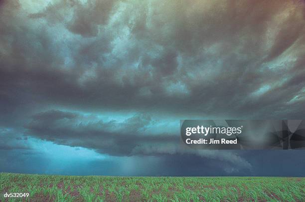 Jim Reed Storm Jim Reed Photos and Premium High Res Pictures - Getty Images