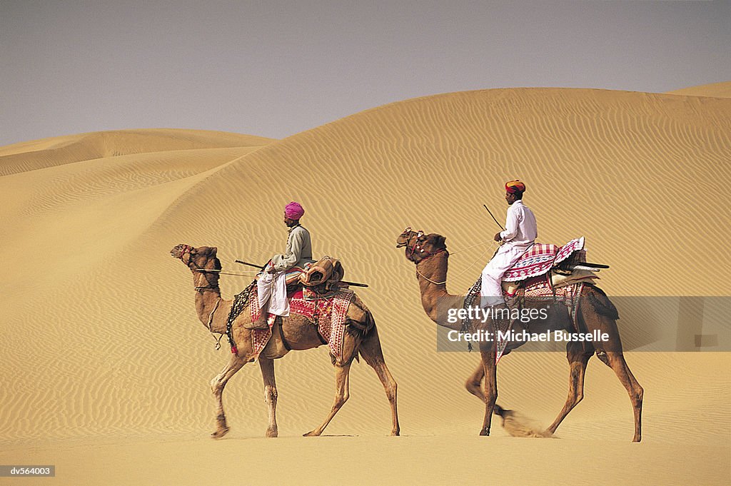 Men travelling on camel, Jaiselmer, India