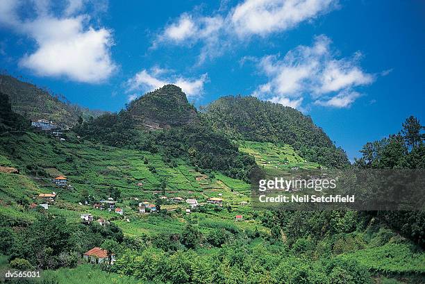 lush countryside in portugal - atlantic islands ストックフォトと画像